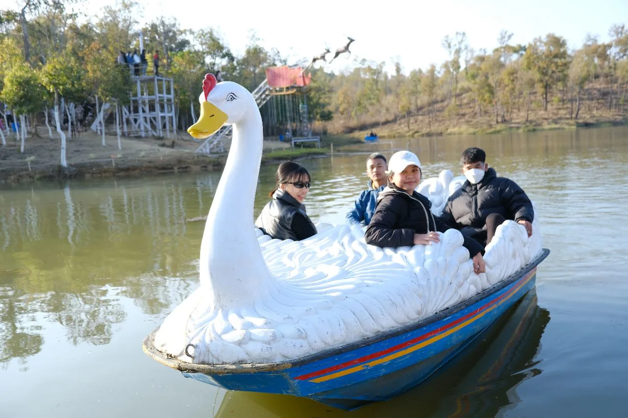 paddling Boat Paddling